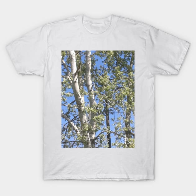 High Trees T-Shirt by Marsal